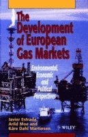 The Development of European Gas Markets 1