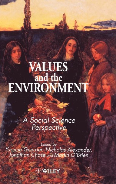 Guerrier, Alexander, Yvonne Guerrier, Nicholas Alexander, Jonathan Chase, Martin O'Brien - Values and the Environment, Inbunden