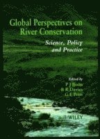 bokomslag Global Perspectives on River Conservation