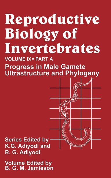 bokomslag Reproductive Biology of Invertebrates, Progress in Male Gamete Ultrastructure and Phylogeny