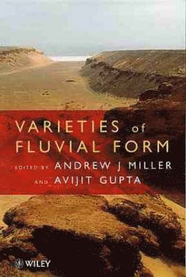 Andrew J. Miller, Avijit Gupta - Varieties of Fluvial Form, Inbunden