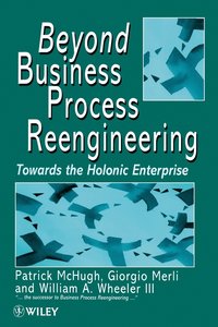 bokomslag Beyond Business Process Reengineering