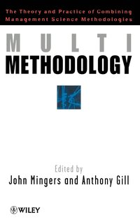 bokomslag Multimethodology