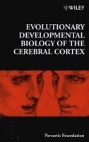 Gregory R. Bock, Gail Cardew - Evolutionary Developmental Biology of the Cerebral Cortex, Inbunden