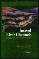 bokomslag Incised River Channels