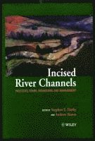 Incised River Channels 1