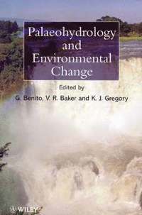 bokomslag Palaeohydrology and Environmental Change