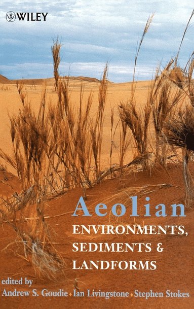 bokomslag Aeolian Environments, Sediments and Landforms