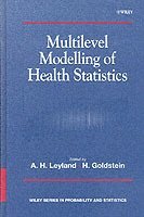 bokomslag Multilevel Modelling of Health Statistics
