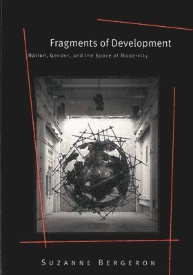 Suzanne Bergeron - Fragments of Development, Häftad
