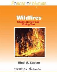 bokomslag Wildfires
