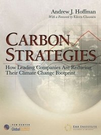 bokomslag Carbon Strategies
