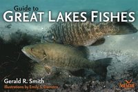 bokomslag Guide to Great Lakes Fishes
