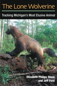 bokomslag Lone Wolverine