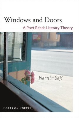 Windows and Doors 1