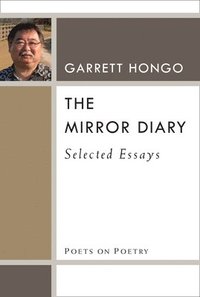bokomslag The Mirror Diary