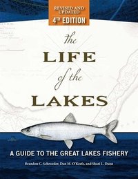bokomslag The Life of the Lakes