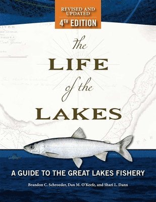 bokomslag The Life of the Lakes