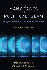 bokomslag The Many Faces of Political Islam, Second Edition
