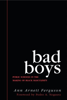 Ann Arnett Ferguson - Bad Boys, Häftad