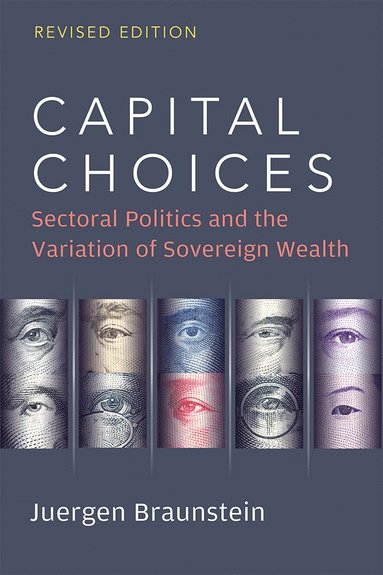 bokomslag Capital Choices