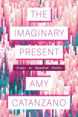 Amy Catanzano - Imaginary Present, Häftad