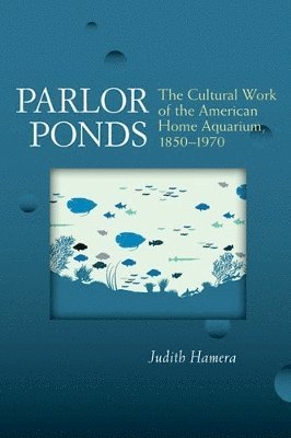 Parlor Ponds 1