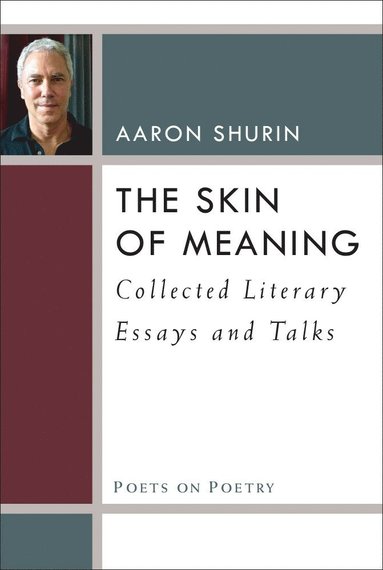 bokomslag Skin of Meaning