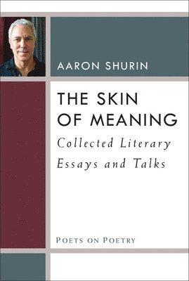 Aaron Shurin - Skin of Meaning, Häftad