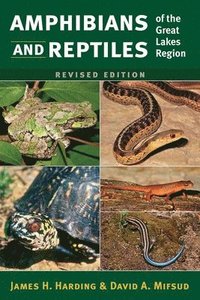 bokomslag Amphibians and Reptiles of the Great Lakes Region