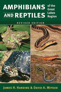 bokomslag Amphibians and Reptiles of the Great Lakes Region, Revised Ed.