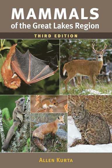 bokomslag Mammals of the Great Lakes Region, 3rd Ed.