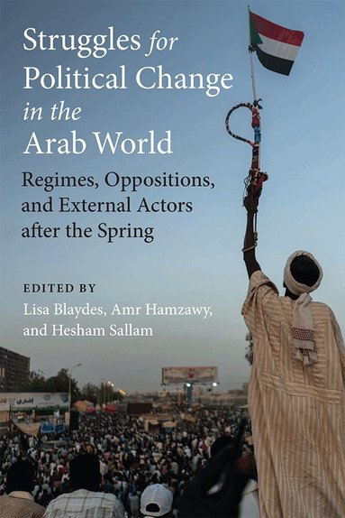 Lisa Blaydes, Amr Hamzawy, Hesham Sallam - Struggles for Political Change in the Arab World, Häftad