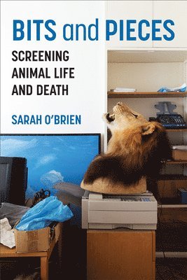 Sarah O'Brien - Bits and Pieces, Häftad