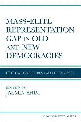 bokomslag MassElite Representation Gap in Old and New Democracies