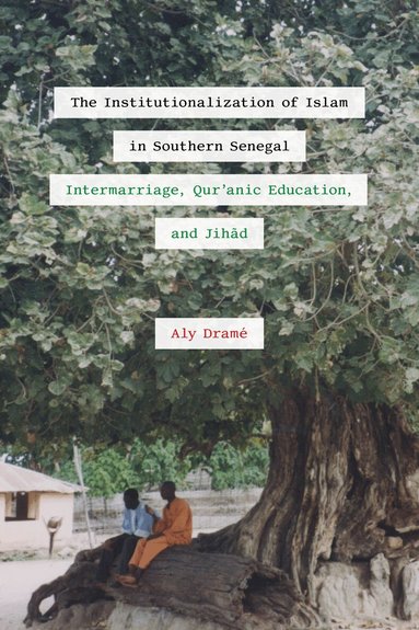 Aly Dramé - Institutionalization of Islam in Southern Senegal, Häftad