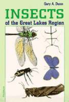 bokomslag Insects of the Great Lakes Region