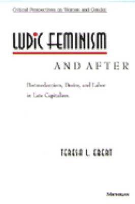 bokomslag Ludic Feminism and After