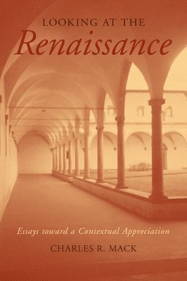 Looking at the Renaissance 1