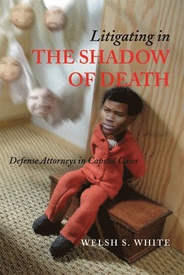 Litigating in the Shadow of Death 1