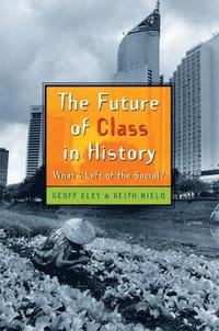 bokomslag The Future of Class in History