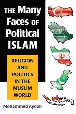 bokomslag The Many Faces of Political Islam