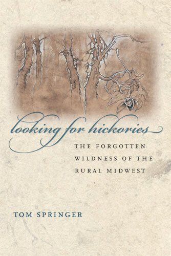 Thomas Springer - Looking for Hickories, Inbunden