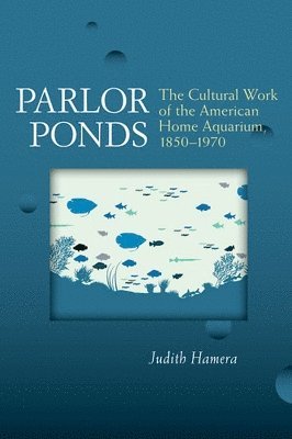 Parlor Ponds 1