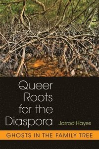 bokomslag Queer Roots for the Diaspora