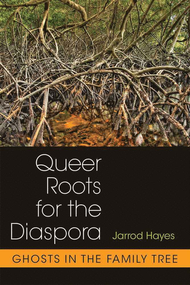 Jarrod Hayes - Queer Roots for the Diaspora, Inbunden
