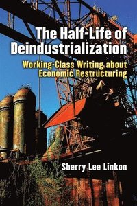 bokomslag The Half-Life of Deindustrialization
