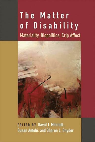bokomslag Matter of Disability