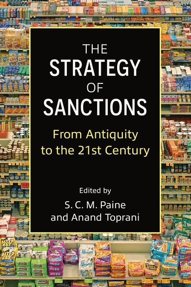 S. C. M. Paine, Anand Toprani - Strategy of Sanctions, Inbunden