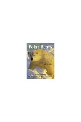 Polar Bears 1